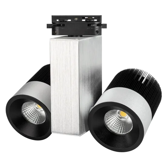 Фото #1 товара Светодиодный светильник LGD-2238SB-2x15W White 24deg (Arlight, IP20 Металл, 3 года)