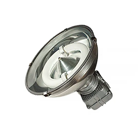 Фото товара Светодиодный прожектор Светильник High Bay Induction CH22-250W White (Arlight, -)