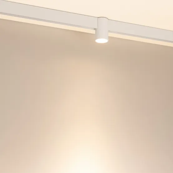 Фото #2 товара Светильник MAG-ORIENT-AXIO-R60-10W Warm3000 (WH, 24 deg, 48V) (Arlight, IP20 Металл, 5 лет)