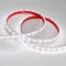 Минифото #2 товара Светодиодная лента RTW 2-5000PS 24V White6000 2x (5060, 300 LED, LUX) (Arlight, 14.4 Вт/м, IP67)